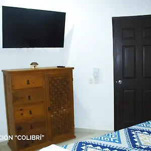 https://casa-ileana.allrivieramayahotels.com